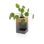 Avira Alya RCS Re-steel tumbler 300ML - Image 17