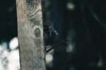 Gear X mini multi tool - Image 9