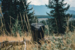 17” outdoor laptop backpack - Image 9