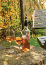 Vino Wine chiller stick - Image 6