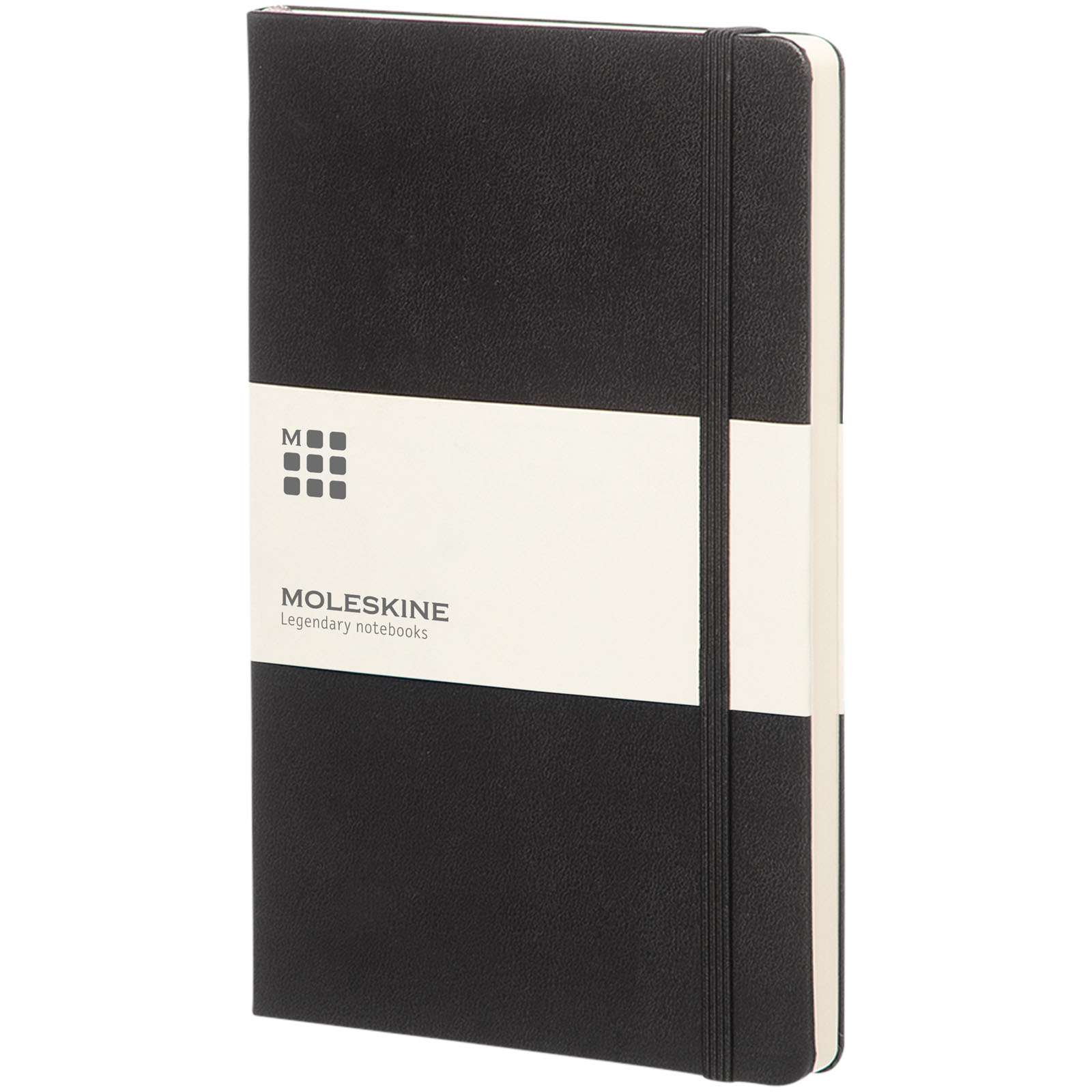 10717700 Moleskine Classic L hard cover notebook - dotted - Image 1