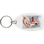 Access P5 keychain - Image 3