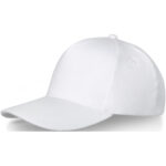 Doyle 5 panel 260 g/m2 cap