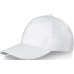 Davis 6 panel 260 g/m2 cap