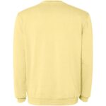 Jaya 250 g/m² unisex crewneck sweater - Image 3
