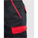 Tahoe 250 g/m2 workwear shorts - Image 4