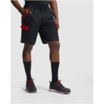 Tahoe 250 g/m2 workwear shorts - Image 6